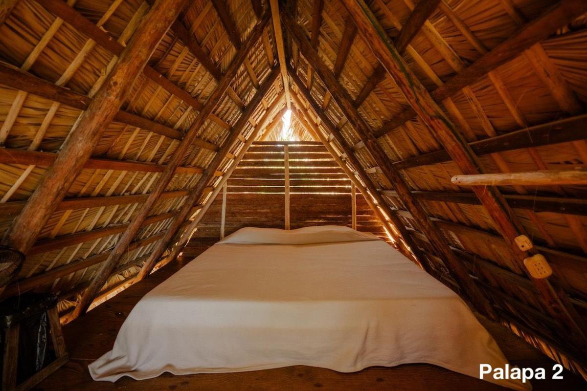 Ecolodge Tubagua Puerto Plata Экстерьер фото